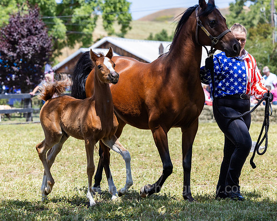 ShermanRanch0524_1065