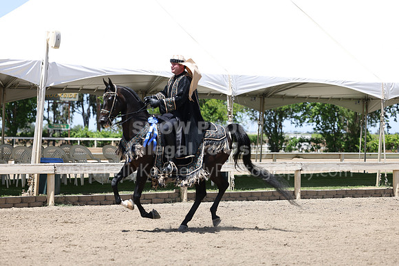 DAHA22_Thurs_1177