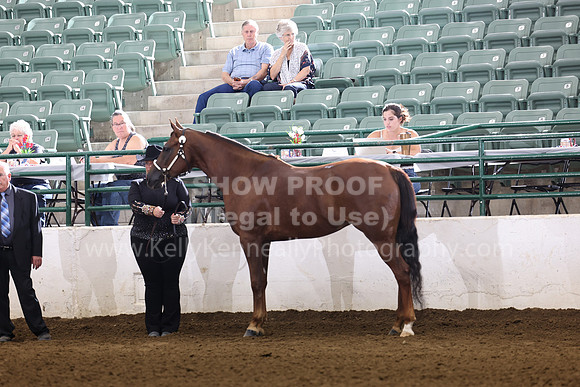 R322_CH_Thurs_2391