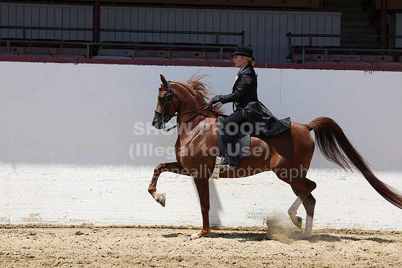 R2_22_Thurs_2644