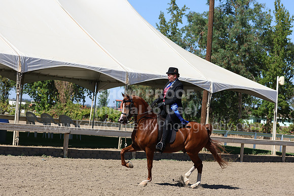 DAHA_FF22_1353