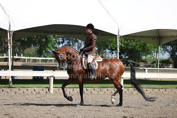 DAHA22_Thurs_0697