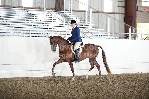 AHANC22_WedAM_0091