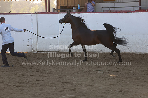 R2_22_Thurs_6748