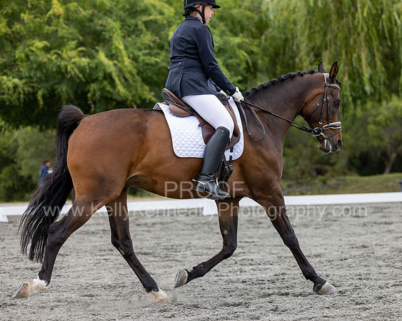 KalypsosKrownRoyal22-3465