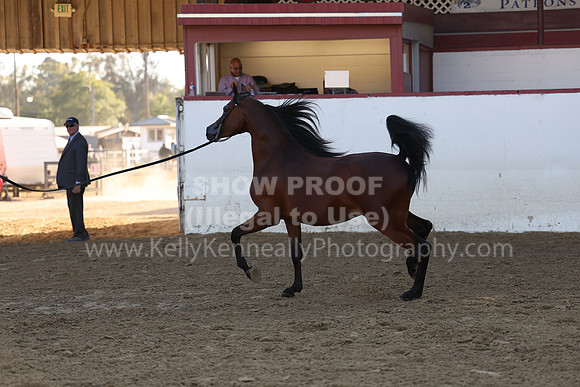 R2_22_Thurs_6462