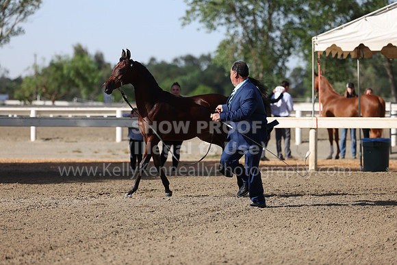 DAHA22_Fri_1487