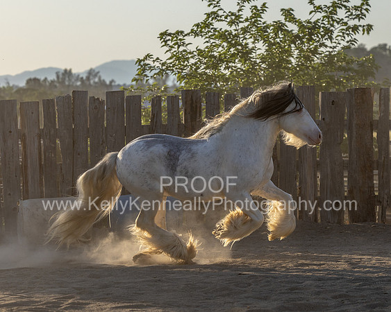 ThunderMay25_3409