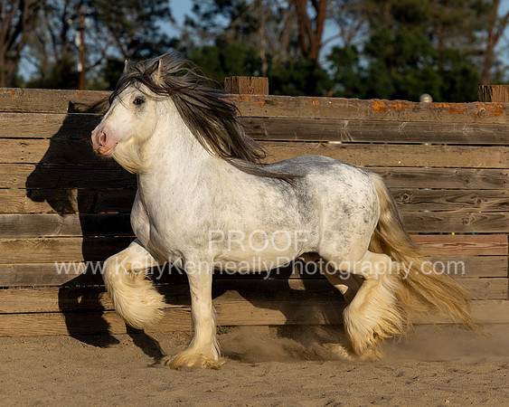 ThunderMay25_3287