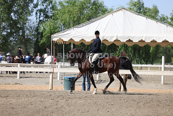 DAHA22_Fri_1774