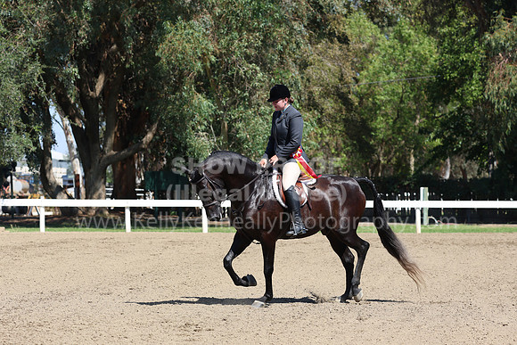 DAHA_FF22_4897