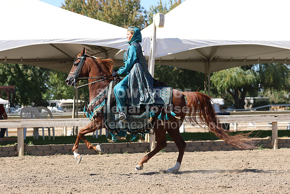 DAHA_FF22_1291
