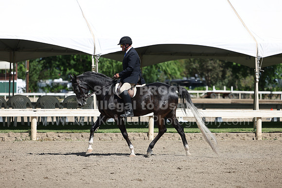 DAHA22_Thurs_0778