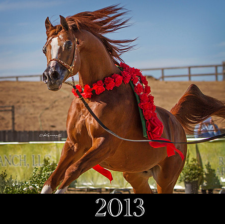 2013_KKPwebsite_DesktopEnzo_0649