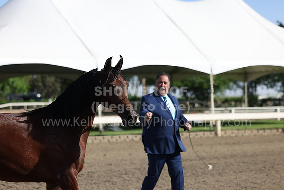 DAHA22_Fri_1505