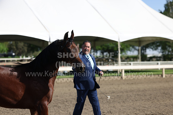 DAHA22_Fri_1506