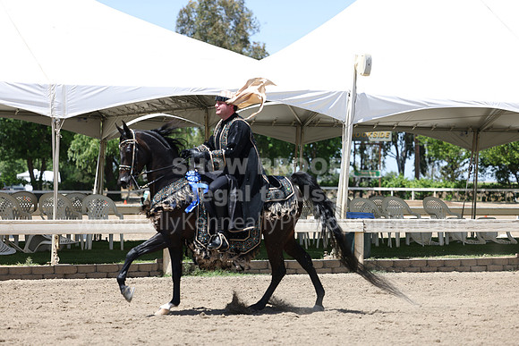 DAHA22_Thurs_1180