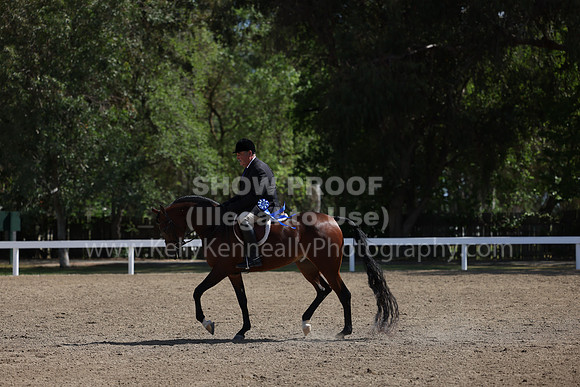 DAHA22_Thurs_0792