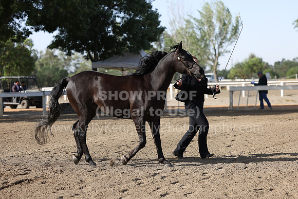DAHA22_Fri_1441