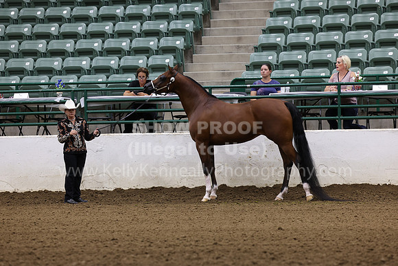 R322_CH_Thurs_2648