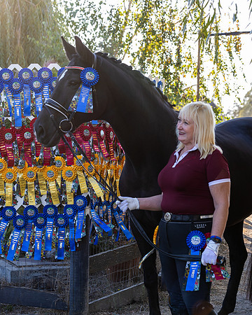 HodgesRibbons24_3847