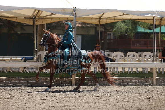 DAHA22_Thurs_1100