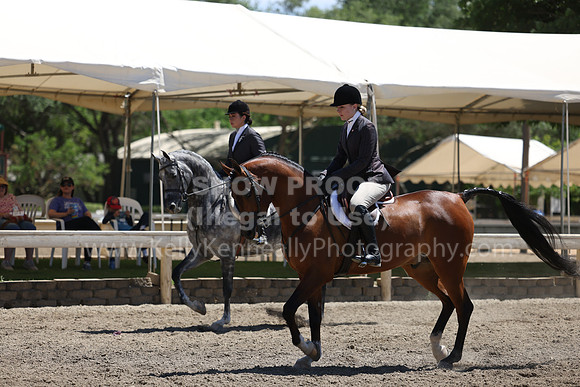 DAHA22_Thurs_1291