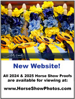 2025 Shows-photos