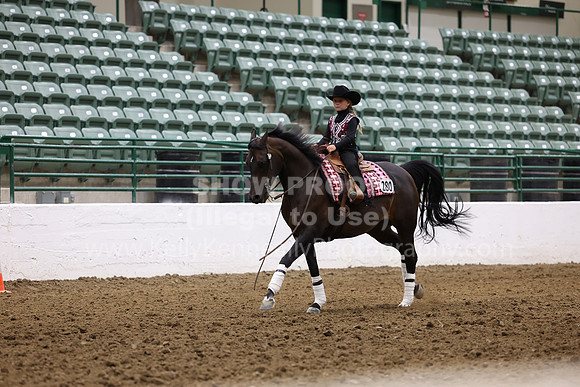 R322_CH_Reining_2249