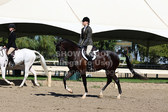 DAHA_FF22_2419
