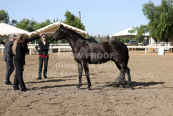 DAHA22_Fri_1453