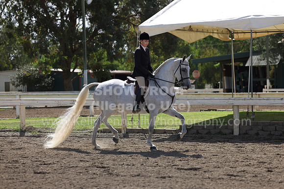 DAHA22_Thurs_0682