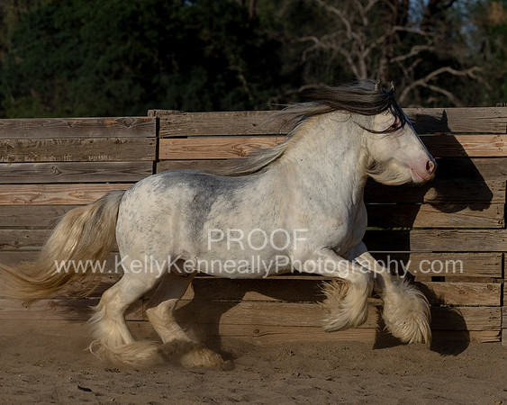 ThunderMay25_3389