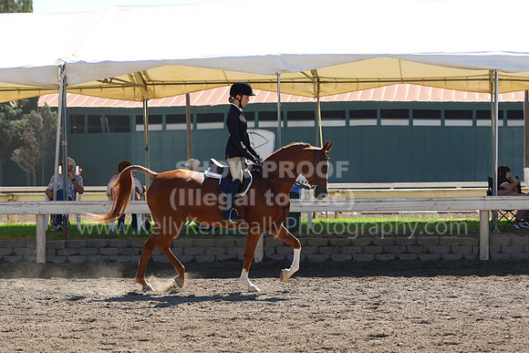 DAHA_FF22_2601
