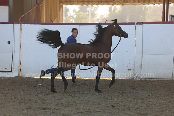 R2_22_Thurs_6221