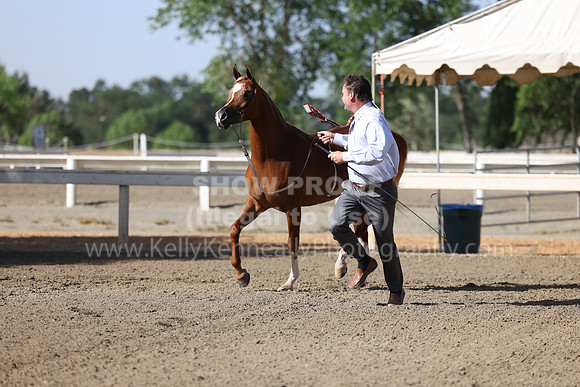DAHA22_Fri_1541