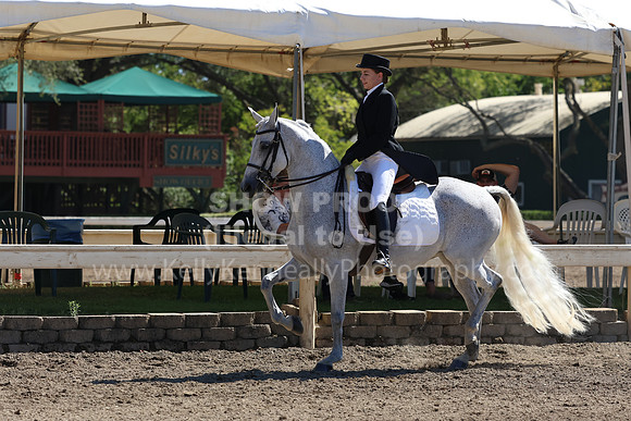 DAHA_FF22_1118