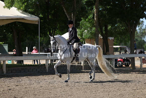 DAHA22_Thurs_0668