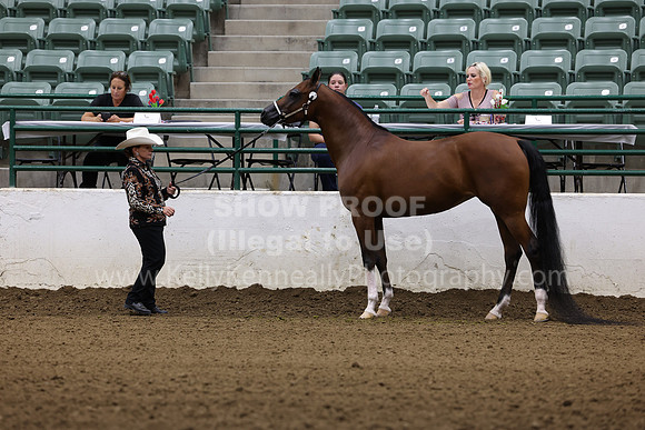 R322_CH_Thurs_2646
