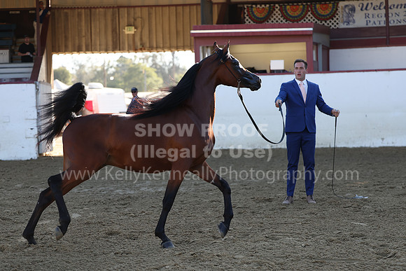 R2_22_Thurs_6442