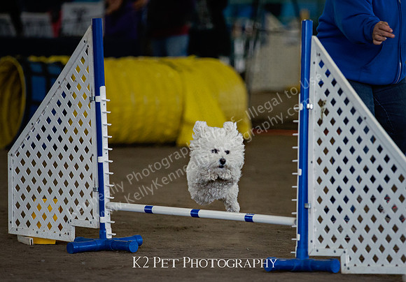 SCAC_Nov17Day3_09965