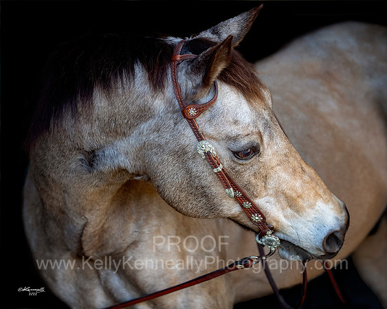 Kellie&Dusty22_0159