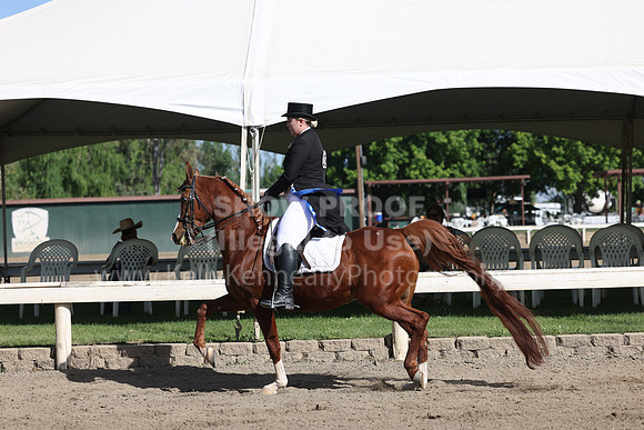 DAHA22_Sun_3150