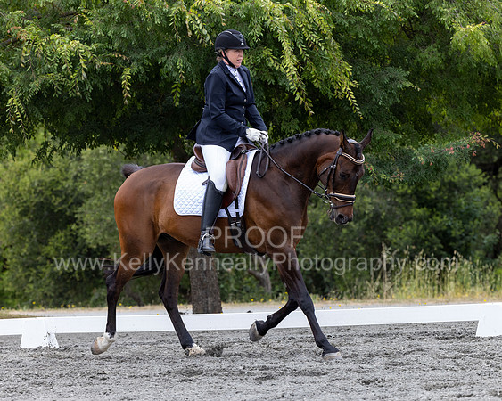 KalypsosKrownRoyal22-3597