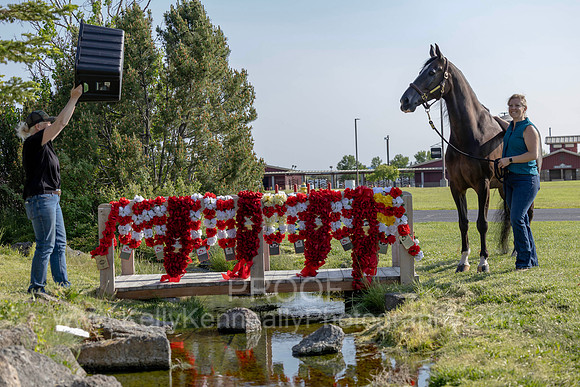 AfiresSoldier_0625 _0747