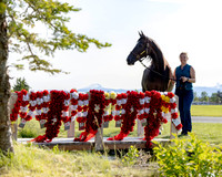 AfiresSoldier_0625 _1265