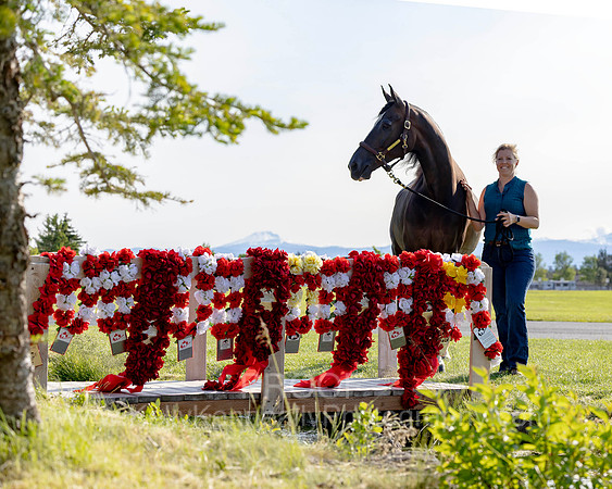 AfiresSoldier_0625 _1265
