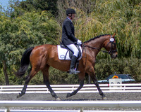 Digital Images available, please email kelly.kenneally@yahoo.com