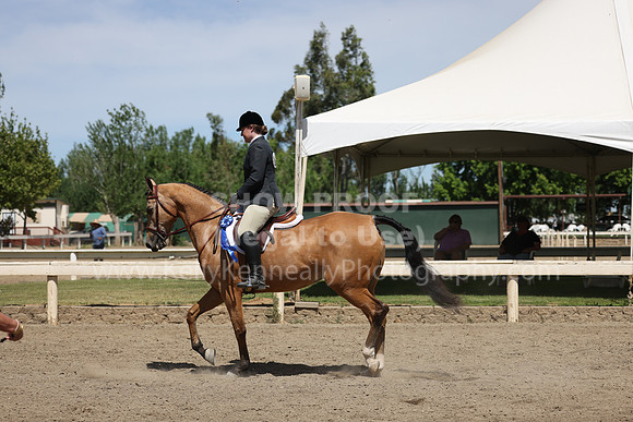 DAHA22_Thurs_0871