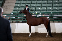 R322_CH_Tues_2250